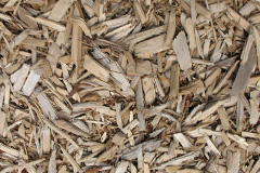 biomass boilers Marlas